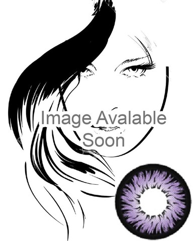 Geo Xtra Aster Violet 2 Tone Circle Lens WTC11